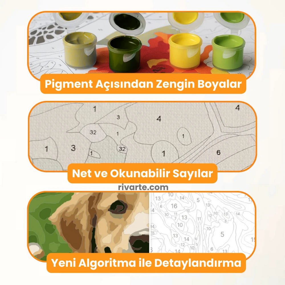 Kişiye Özel Sayılarla Boyama Kiti - rivarte